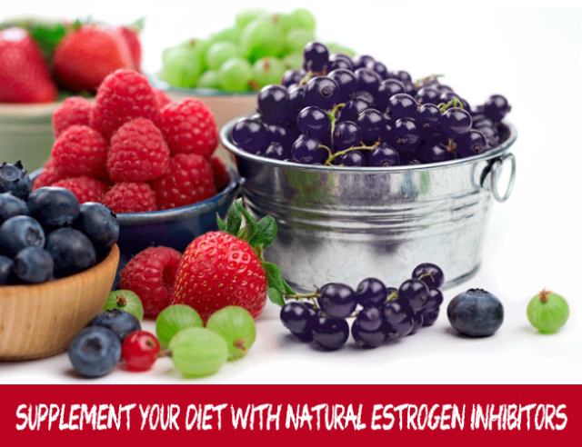 Supplement Your Diet With Natural Estrogen Inhibitors
